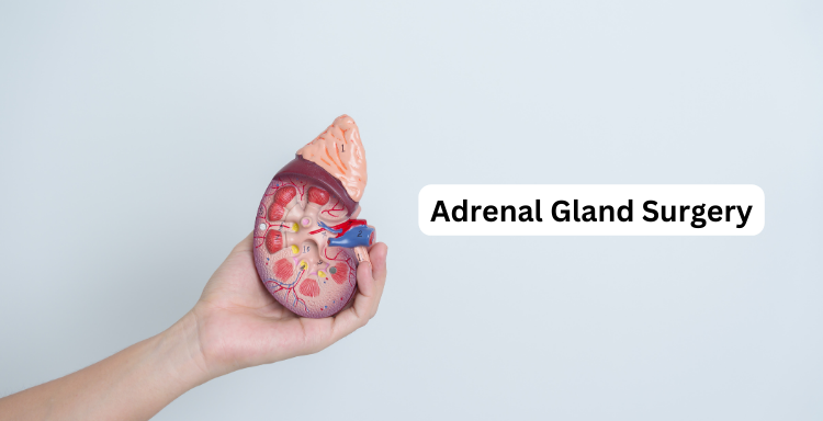 Adrenal Gland Surgery in India