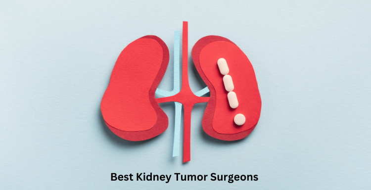 Best Kidney Tumor Surgeons