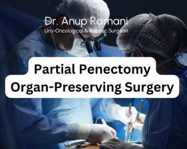 Partial Penectomy: A Closer Look at Organ-Preservin ...