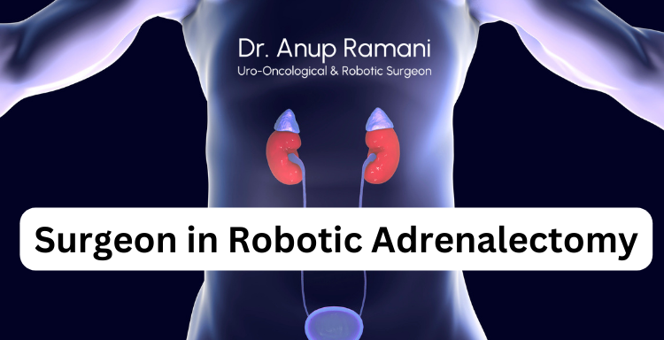 Surgeon in Robotic Adrenalectomy