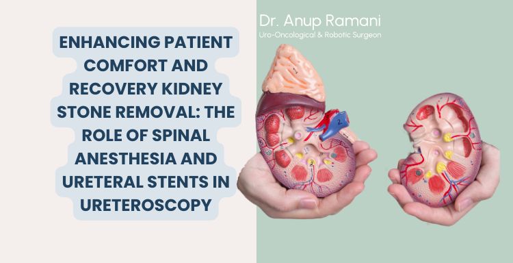 Enhancing Patient Comfort and Recovery Kidney Stone Removal: The Role of Spinal Anesthesia and Ureteral Stents in Ureteroscopy