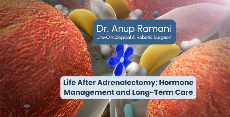Life After Adrenalectomy: Hormone Management and Long-Term Care