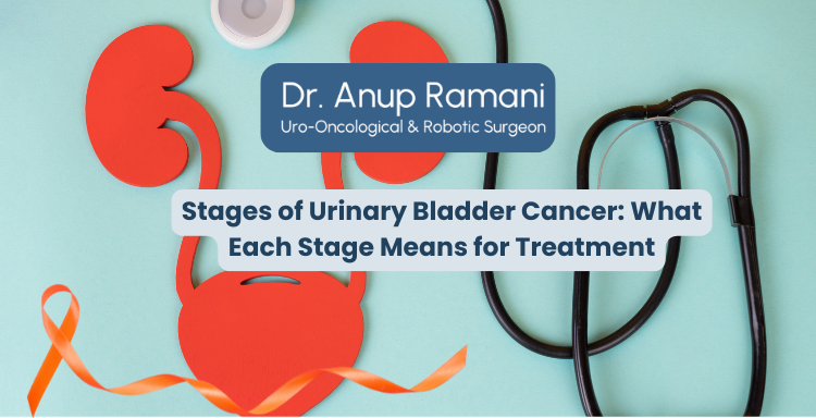 Stages of Urinary Bladder Cancer: What Each Stage Means for Treatment