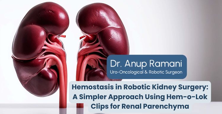 Hemostasis in Robotic Kidney Surgery: A Simpler Approach Using Hem-o-Lok Clips for Renal Parenchyma