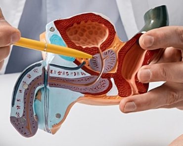 How TURP Surgery Treats Enlarged Prostate & Re ...