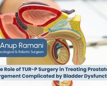 The Role of TUR-P Surgery in Treating Prostate Enla ...
