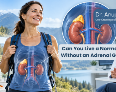 Can You Live a Normal Life Without an Adrenal Gland ...